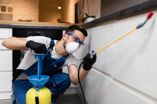 Best Affordable Pest Control Services  in Lexington, IL