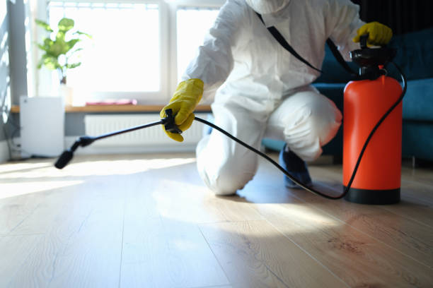 Best Affordable Pest Control Services  in Lexington, IL