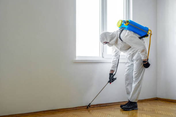 Best Wasp Removal Services  in Lexington, IL