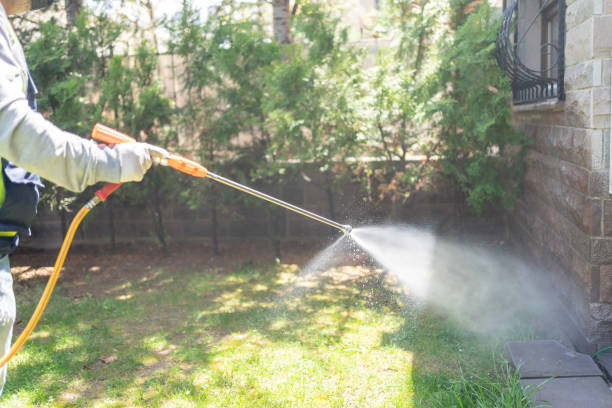 Spider Control Near Me in Lexington, IL