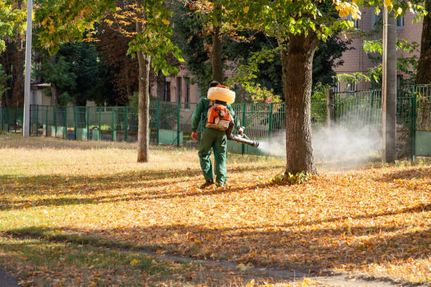 Best Cockroach Control Services  in Lexington, IL
