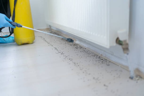 Best Bed Bug Extermination  in Lexington, IL