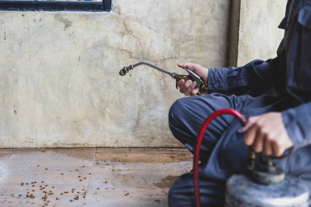Best Pest Inspection Near Me  in Lexington, IL